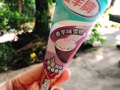 -广东惠东海龟国家级自然保护区