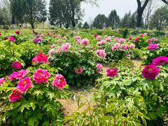 -济南国际园博园