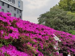 -长阳创谷