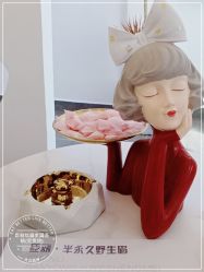 -臣丽纹眉全国连锁