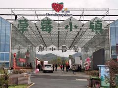 -建德果蔬乐园绪塘草莓基地