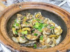白鳝黄鳝煲仔饭-红星光发煲仔饭(大石街店)