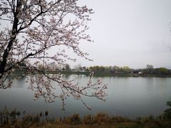 -尚湖风景区