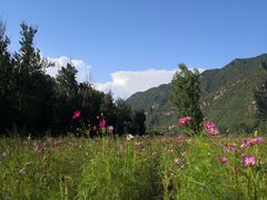-白河湾生态旅游一条川