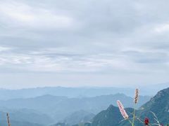 -白草畔自然风景区