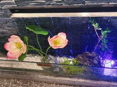 -大榕树下顺德菜(融创茂店)