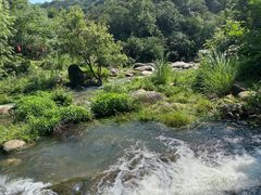 -武汉姚家山旅游景区
