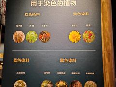 -四川大学博物馆