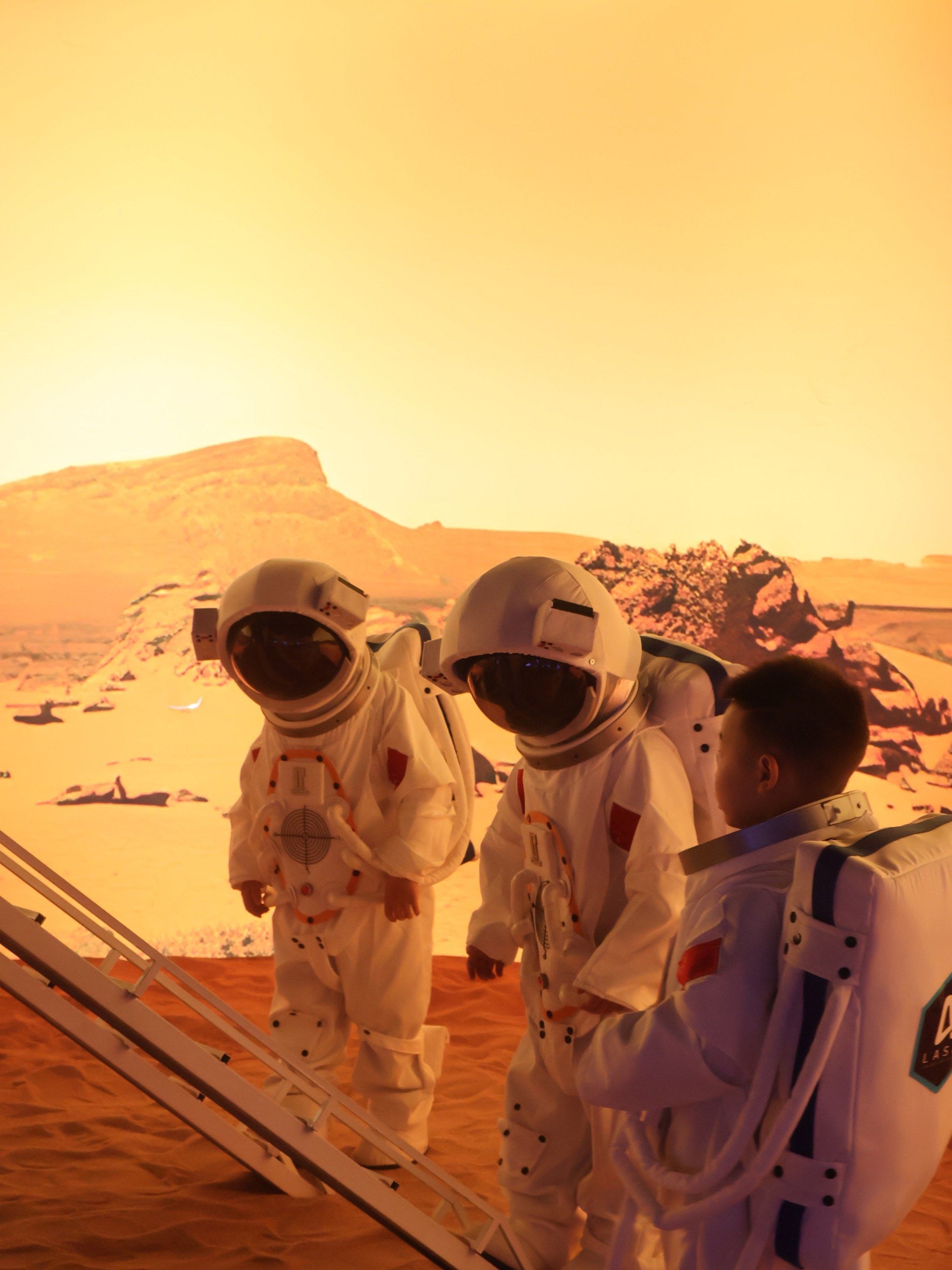 《300万太空船票背后：一场精心设计的阶层突围实验