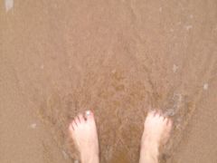 -日照海滨国家森林公园