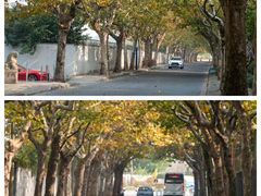 -上海吴淞炮台湾国家湿地公园