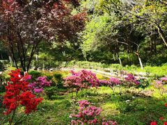 -南山风景名胜区