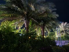 -青澳湾北回归线广场