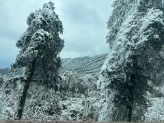 -峨眉山风景名胜区