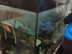 -叶氏水木堂盲人医疗按摩所