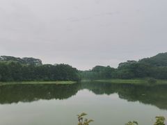 -东莞植物园