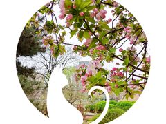 -海棠花溪(元大都城垣遗址公园)