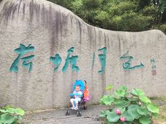 -荷塘月色湿地公园·向阳花洲