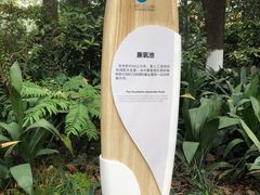 -成都市活水公园
