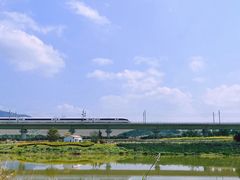 -光明小镇欢乐田园
