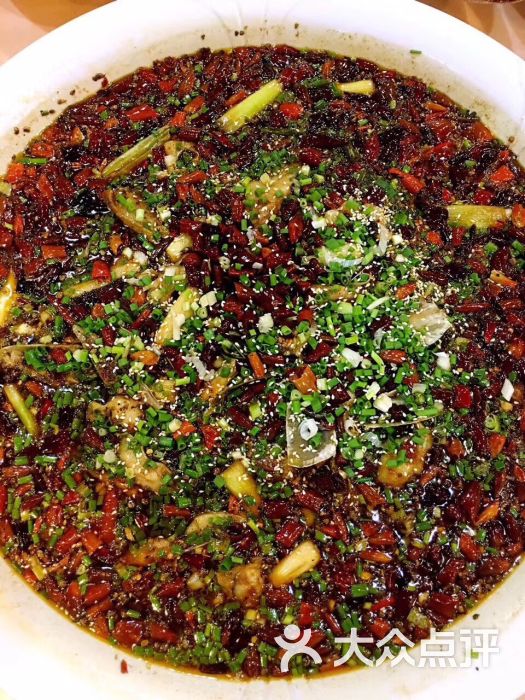 巴鑫正宗来凤鱼图片 - 第8张