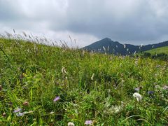 -灵山