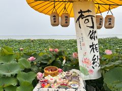 -七的湖·晚芳亭·阳澄湖农家菜·大闸蟹(莲花岛店)