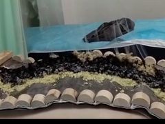 -李时珍中医馆·艾灸·推拿·针灸(佰港城馆)