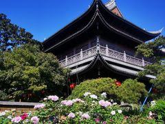 -龙华寺