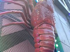 -红钳侠小龙虾·烧烤(中赢康康谷店)