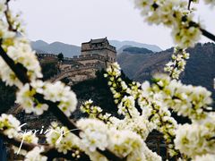 -居庸关长城
