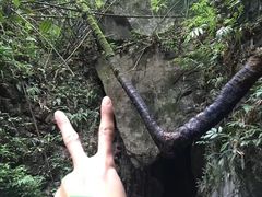 -武隆天坑地缝国家地质公园