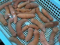 -小铜锣湾海鲜家常菜馆(河西店)