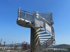-羊山湖公园