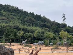 -杭州野生动物世界
