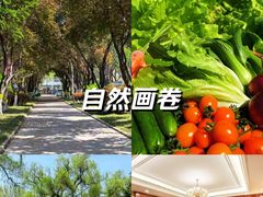 -山东大学学府大酒店(千佛山地铁站店)