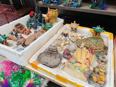 -清平路水族市场