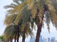 -海心沙亚运公园