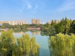 -青枫公园