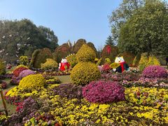 -南山植物园