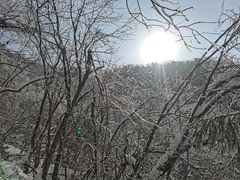 -九峰山