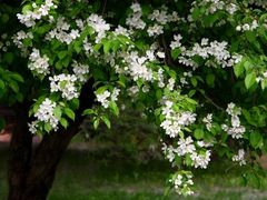 -白沙门生态公园