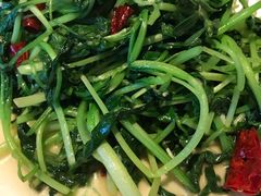 炝炒鸡毛菜-日上三甘(三里屯店)