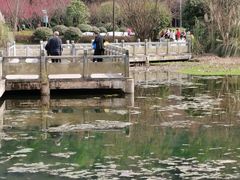 -贵阳市花溪国家城市湿地公园
