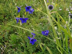 -白草畔自然风景区