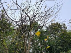 -厦门美莱整形美容医院