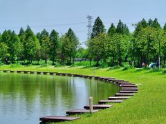 -宁波杭州湾国家湿地公园