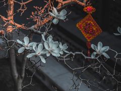 -何园