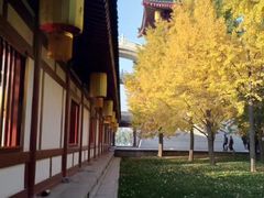 -西安城墙·碑林历史文化景区