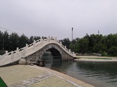 -柳浪游泳场